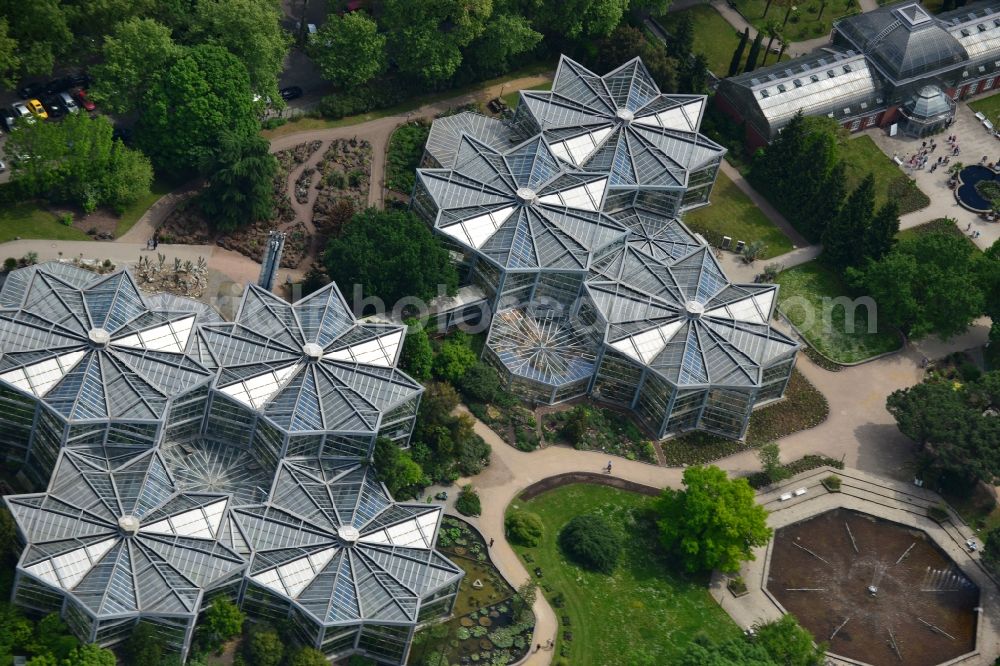 Aerial image Frankfurt am Main - Palm garden, house, in the Park of botanic garden in Frankfurt in the state Hesse