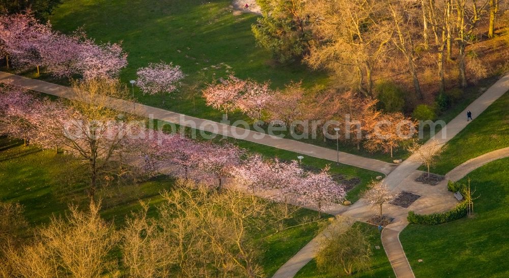 Herne from the bird's eye view: Park of Herner Stadtgarten in Herne in the state North Rhine-Westphalia, Germany