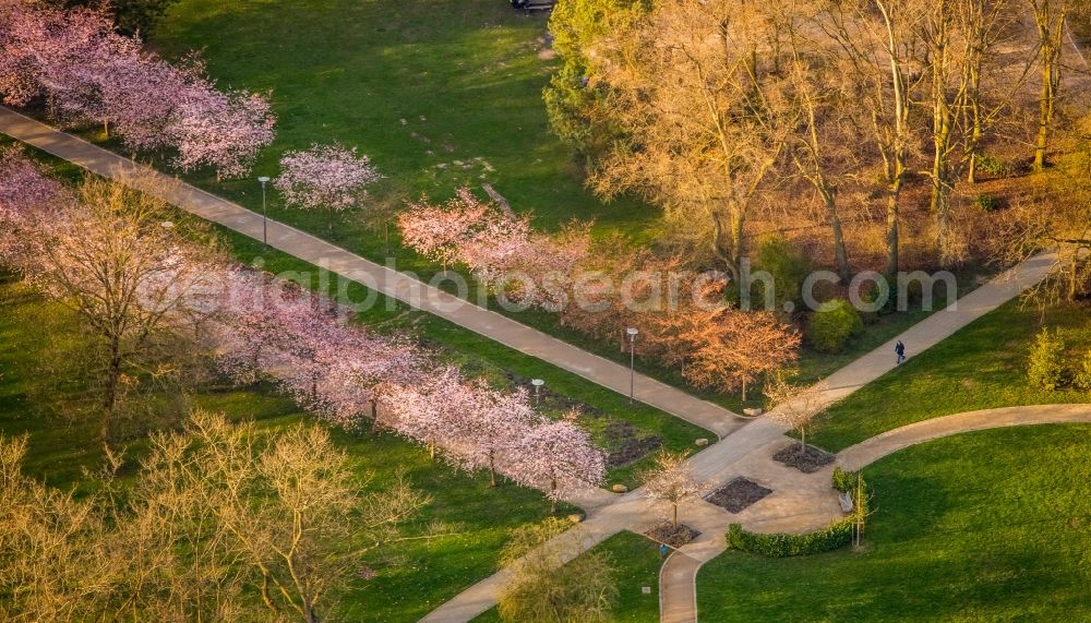 Aerial image Herne - Park of Herner Stadtgarten in Herne in the state North Rhine-Westphalia, Germany