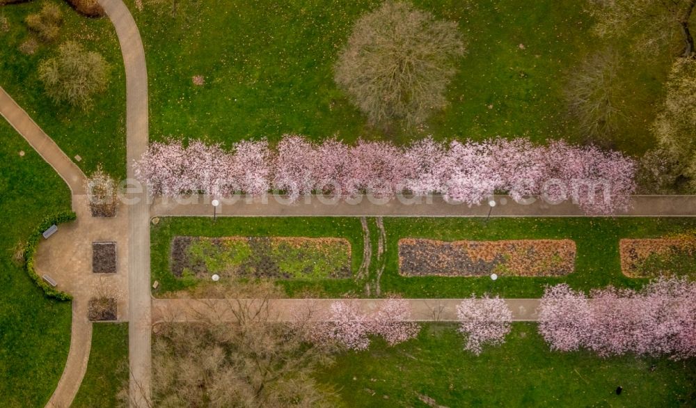 Herne from above - Park of Herner Stadtgarten in Herne in the state North Rhine-Westphalia, Germany