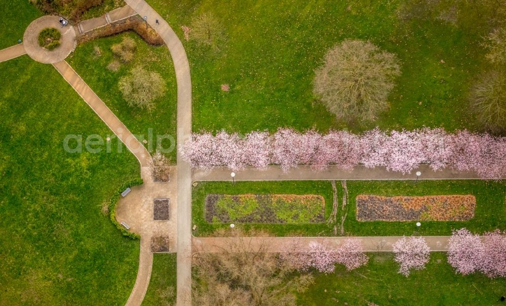 Herne from the bird's eye view: Park of Herner Stadtgarten in Herne in the state North Rhine-Westphalia, Germany