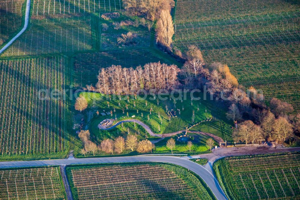 Aerial photograph Flemlingen - Park of Klima ARBORETUM in Flemlingen in the state Rhineland-Palatinate, Germany