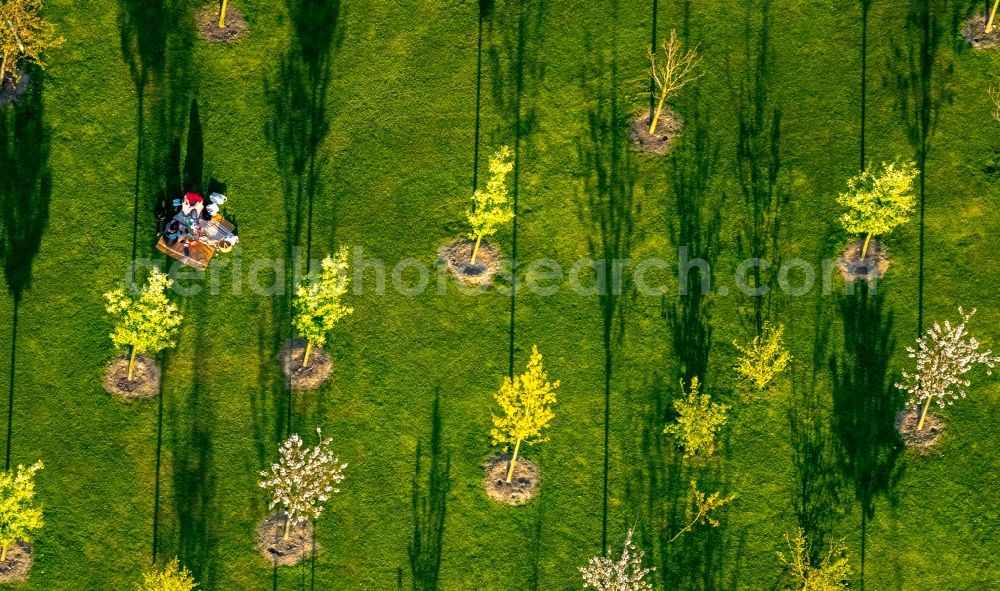 Hamm from the bird's eye view: Park of Lippepark Hamm - Schacht Franz in Hamm in the state North Rhine-Westphalia