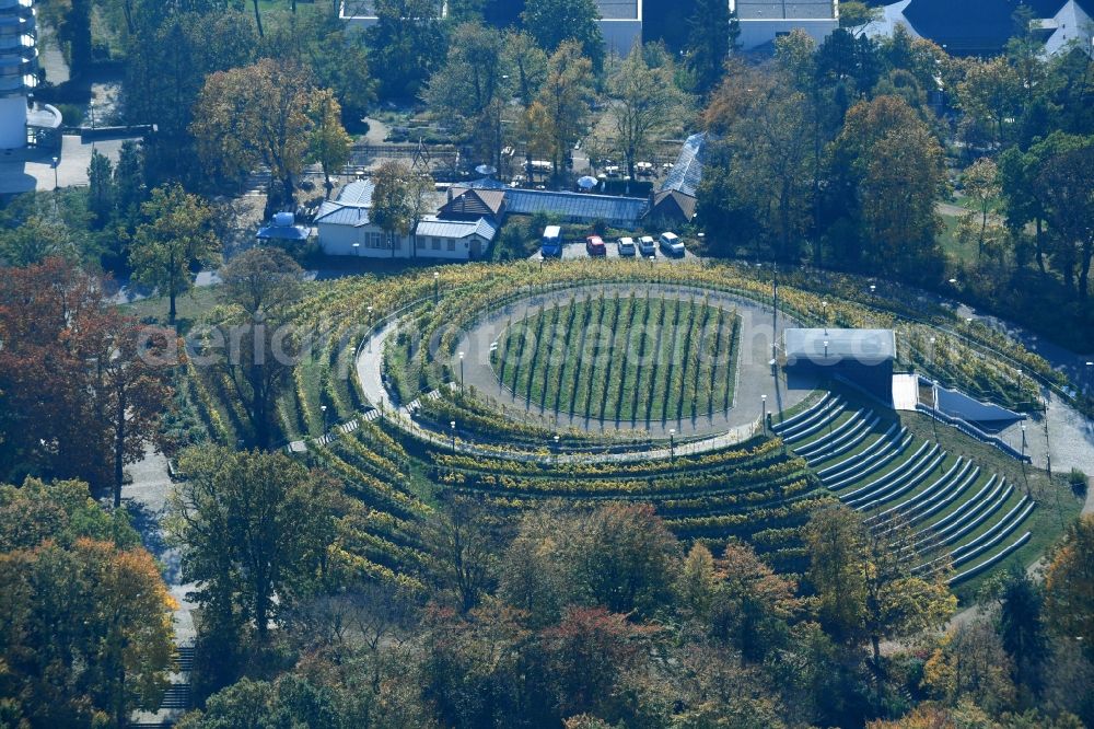 Brandenburg an der Havel from above - Park Marienberg as park and recreation destination in Brandenburg an der Havel in Brandenburg