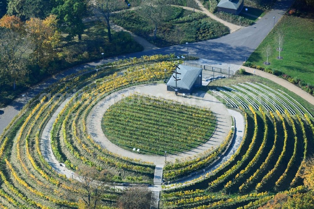 Aerial image Brandenburg an der Havel - Park Marienberg as park and recreation destination in Brandenburg an der Havel in Brandenburg