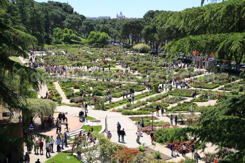Madrid from above - Park of El Retiro Rose Garden ( El ...
