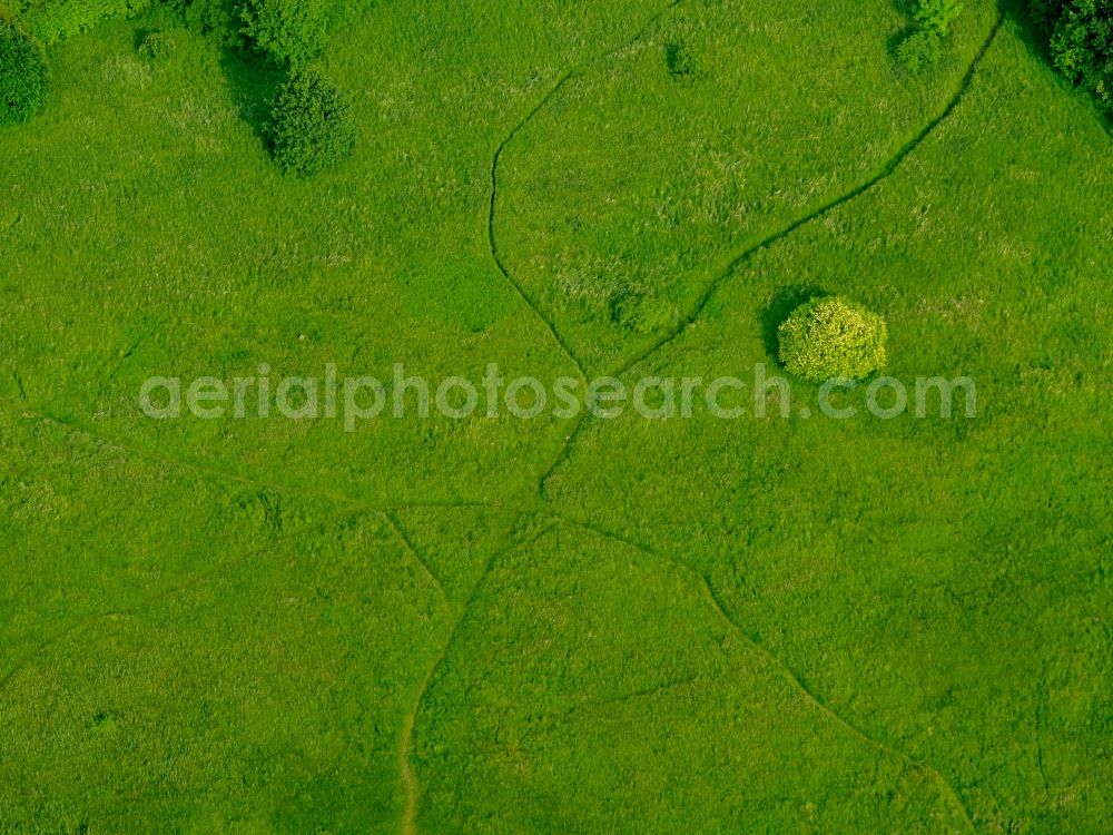 Aerial photograph Gelsenkirchen - Park of Revierpark Nienhausen in Gelsenkirchen in the state North Rhine-Westphalia, Germany