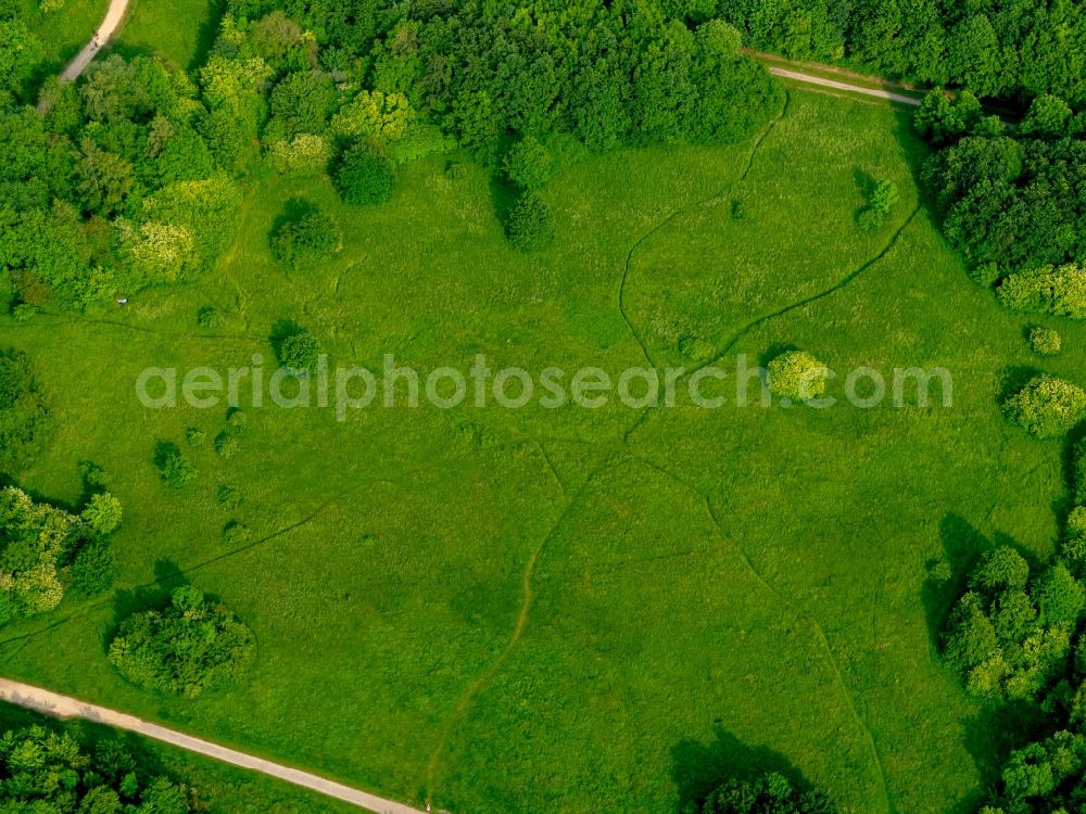 Gelsenkirchen from above - Park of Revierpark Nienhausen in Gelsenkirchen in the state North Rhine-Westphalia, Germany