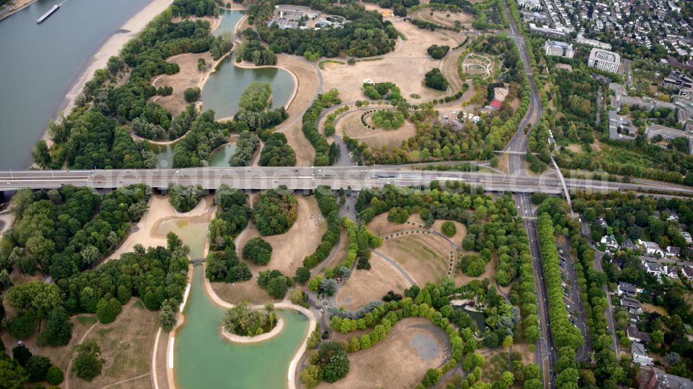 Aerial image Bonn - Park Rheinaue during drought in Bonn in the state North Rhine-Westphalia, Germany