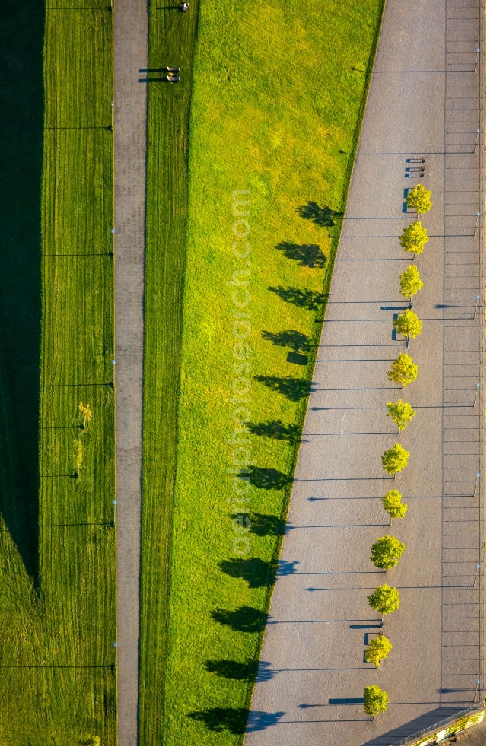 Aerial image Duisburg - Shady line of trees of the Rheinpark in Duisburg in the state North Rhine-Westphalia