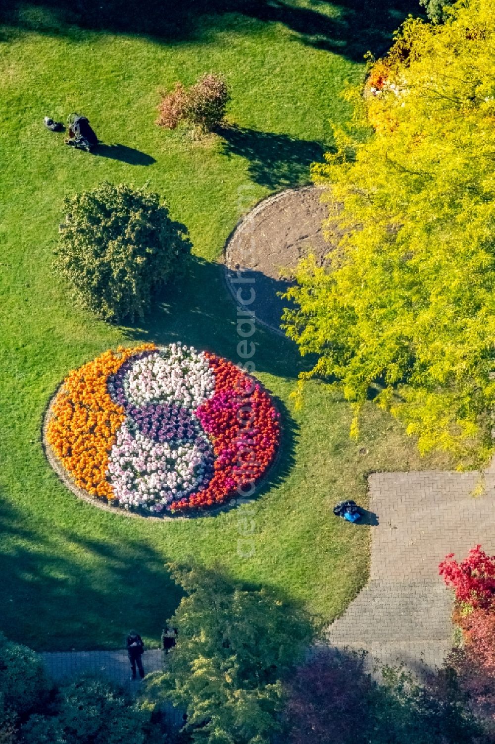 Aerial image Siegen - Park of Schlosspark in Siegen in the state North Rhine-Westphalia