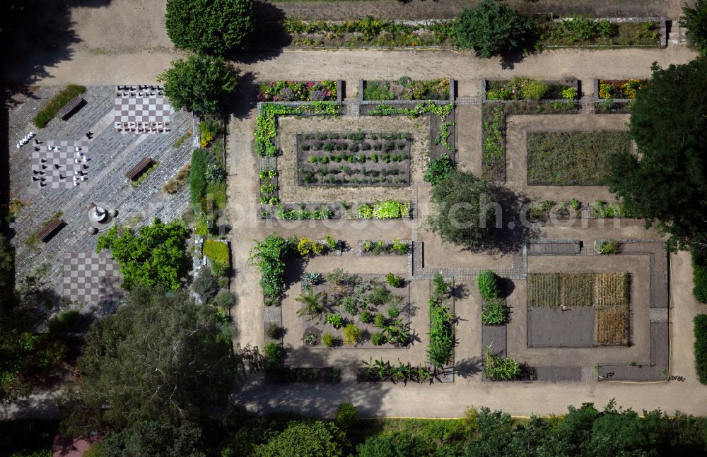 Braunschweig from the bird's eye view: Park of Schul- and Buergergarten on street Doweseeweg in the district Siegfriedviertel in Brunswick in the state Lower Saxony, Germany