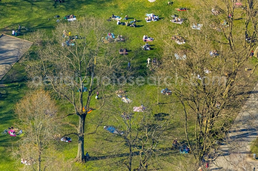 Aerial image Dortmund - Park with people sunbathing of in the district Westpark in Dortmund at Ruhrgebiet in the state North Rhine-Westphalia, Germany