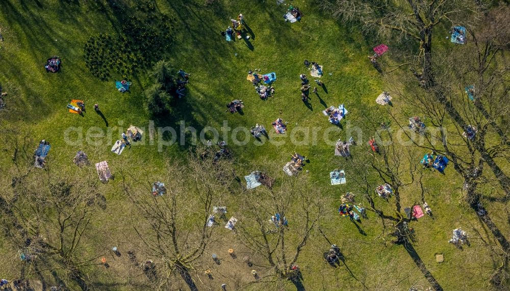 Dortmund from above - Park with people sunbathing of in the district Westpark in Dortmund at Ruhrgebiet in the state North Rhine-Westphalia, Germany