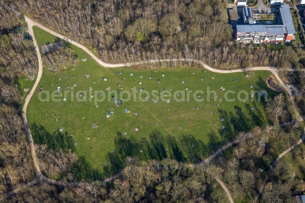 Aerial image Dortmund - Park of Tremoniapark in Dortmund at Ruhrgebiet in the state North Rhine-Westphalia, Germany