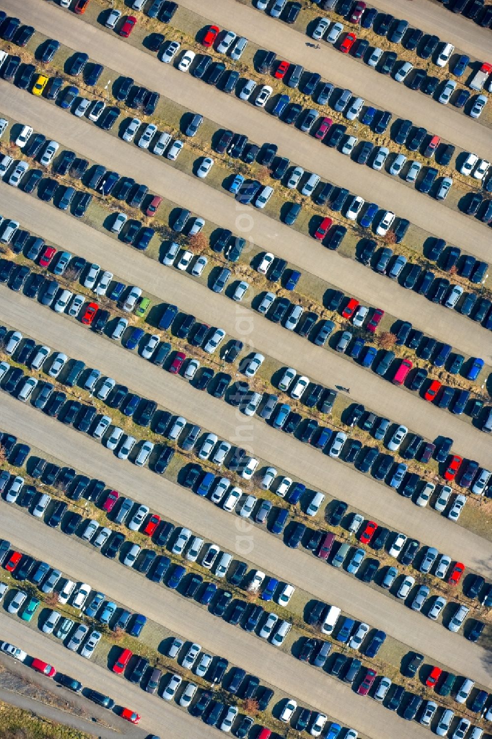 Bottrop from above - Parking and storage space for automobiles Former Mining Bergwerk Prosper-Haniel in Bottrop in the state North Rhine-Westphalia