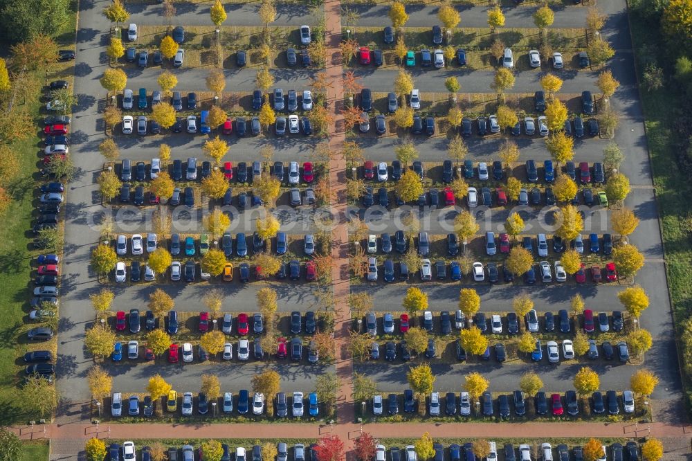 Hamm from the bird's eye view: Parking lot behind the Court of Appeal with autumn-colored trees in Hamm in the Ruhr area in North Rhine-Westphalia