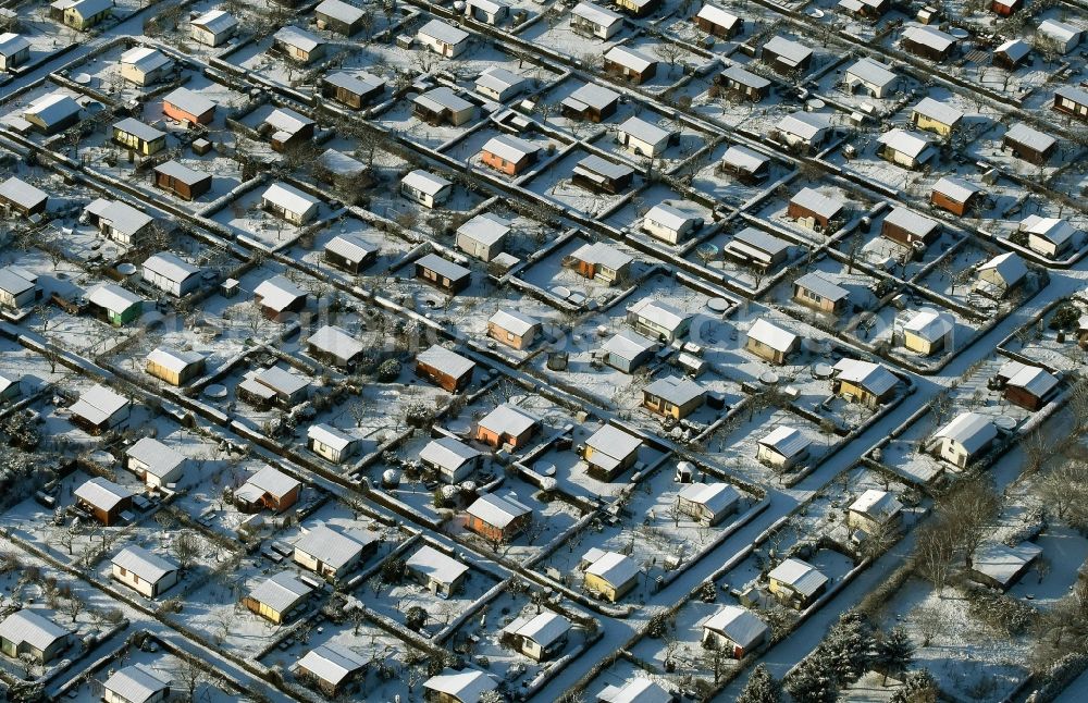 Aerial photograph Berlin - Winterly snowy parcel of the small garden area 750 Jahre Berlin e.V. in Berlin in Germany