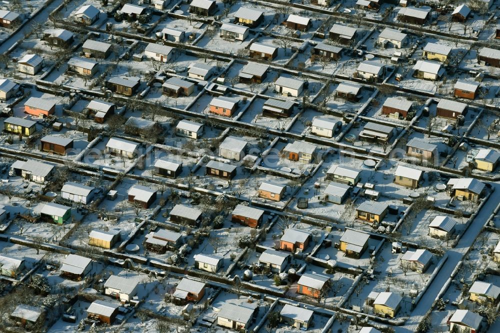 Aerial image Berlin - Winterly snowy parcel of the small garden area 750 Jahre Berlin e.V. in Berlin in Germany