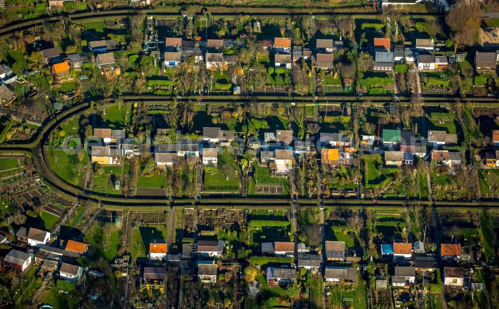 Aerial photograph Bochum - Parcel of a small garden in Bochum in the state North Rhine-Westphalia