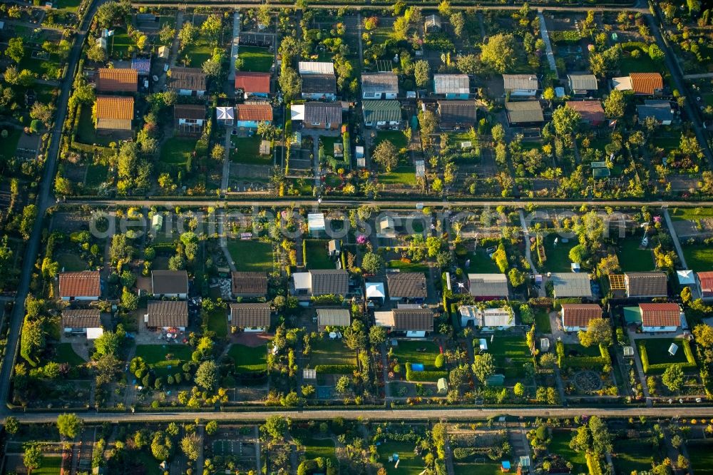 Aerial image Duisburg - Parcel of a small garden in Duisburg in the state North Rhine-Westphalia