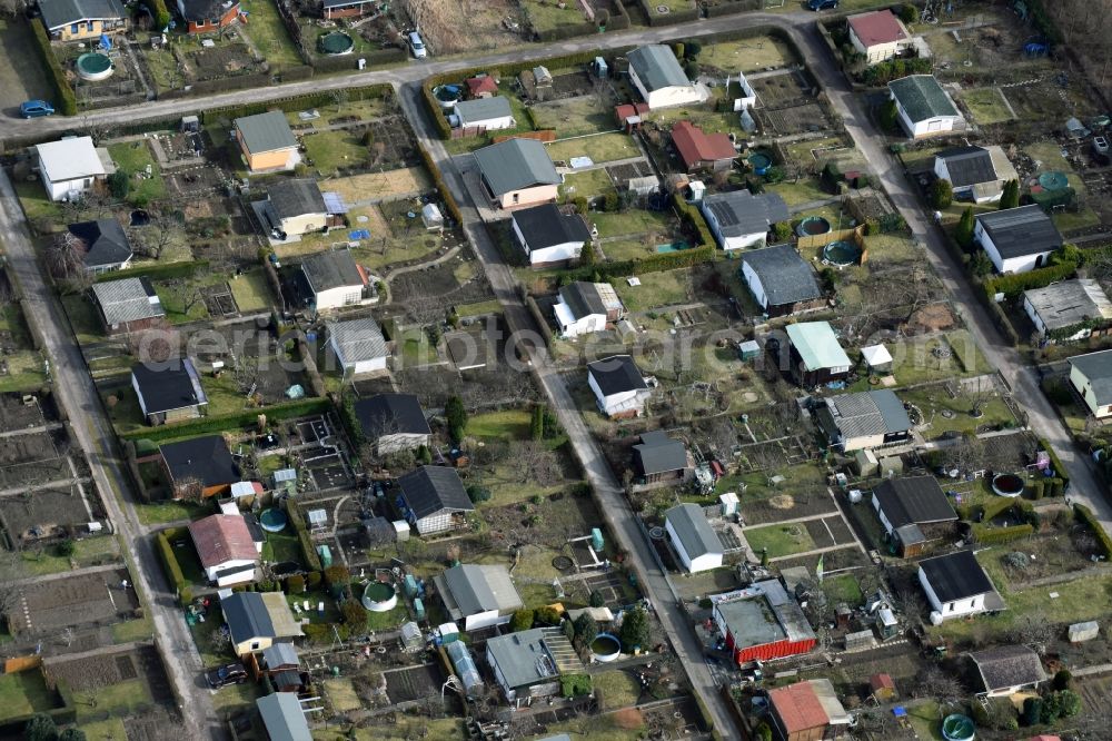 Aerial image Magdeburg - Parcel of a small garden am Flora-Park Garten in the district Neustaedter Feld in Magdeburg in the state Saxony-Anhalt