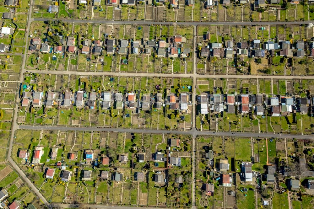 Dortmund from the bird's eye view: Parcel of a small garden Garten Verein Nord Ost e.V. on Hannoeversche Strasse in Dortmund in the state North Rhine-Westphalia