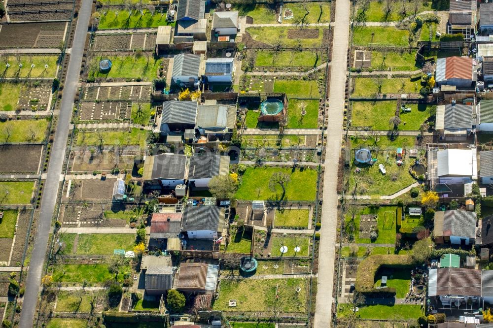 Aerial image Dortmund - Parcel of a small garden Garten Verein Nord Ost e.V. on Hannoeversche Strasse in Dortmund in the state North Rhine-Westphalia