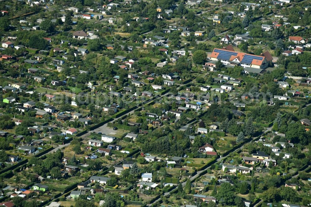 Torgau from above - Parcels and allotments of KGV Sueptitzler Weg in the West of Torgau in the state of Saxony. The hotel Sachsenhotel is located on the street