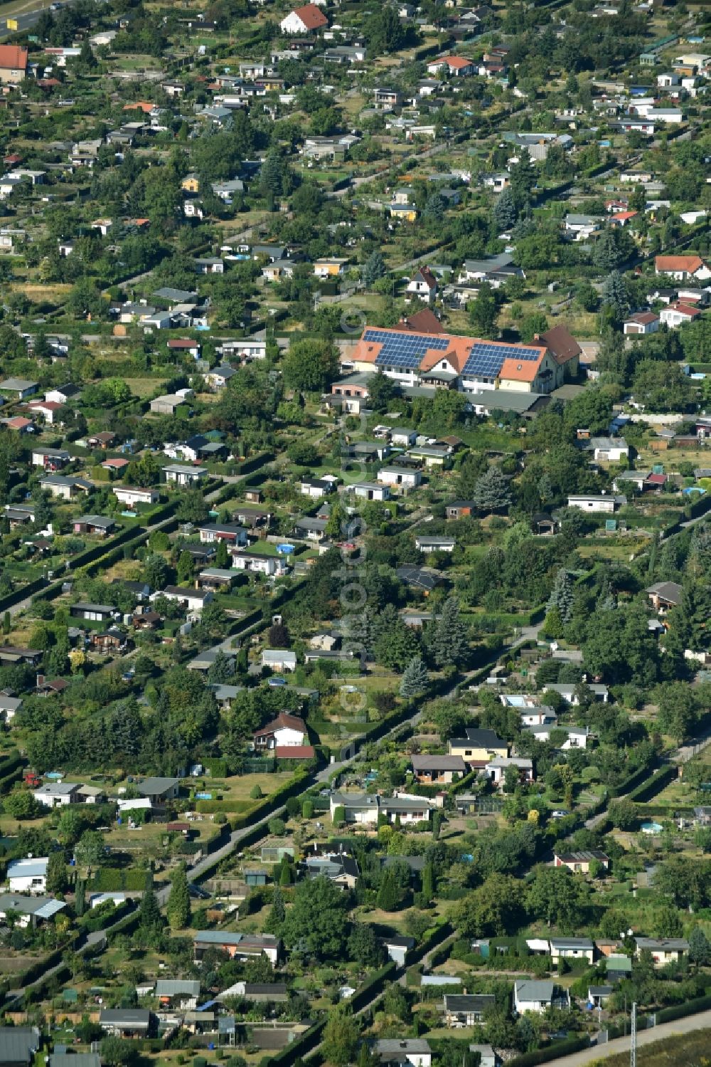 Torgau from the bird's eye view: Parcels and allotments of KGV Sueptitzler Weg in the West of Torgau in the state of Saxony. The hotel Sachsenhotel is located on the street