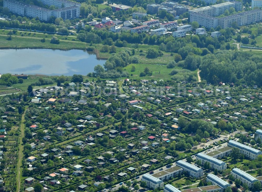 Aerial photograph Berlin - Parcel of a small garden Kleingartenverein Am Kienberg e.V. on Joachim-Ringelnatz-Strasse in the district Hellersdorf in Berlin, Germany