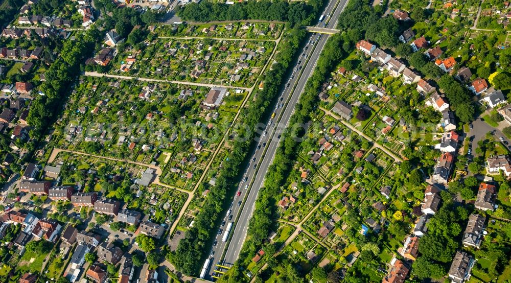 Münster from above - Lot of Allotment Gardens allotment association Suedhoehe e.V. on the B51 in Muenster in North Rhine-Westphalia