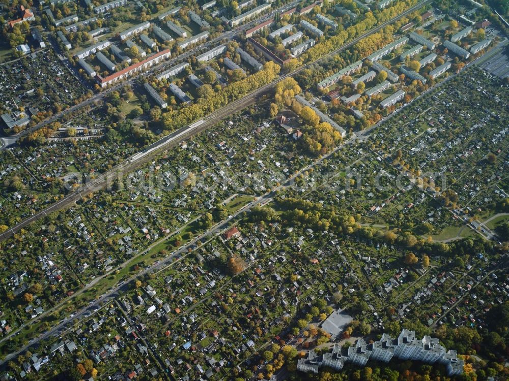 Berlin from above - Parcel of a small garden Kolonie Vogelsang I in Berlin