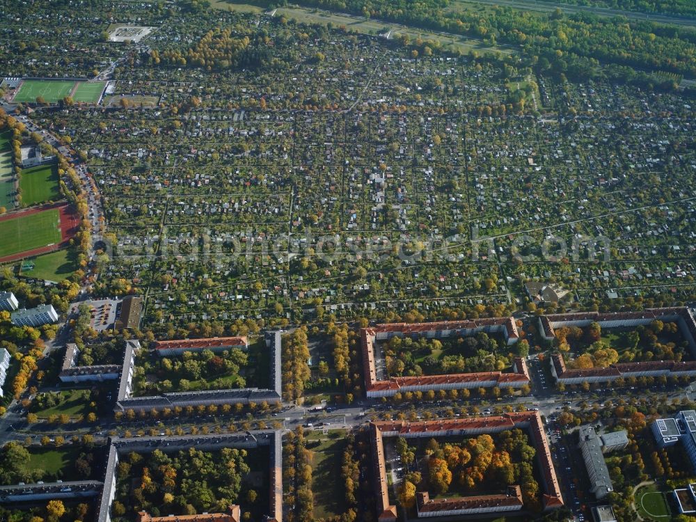 Berlin from above - Parcel of a small garden colony Sonnebad - colony Samoa near the residential area Grazer Damm - Riemenschneiderweg in Berlin