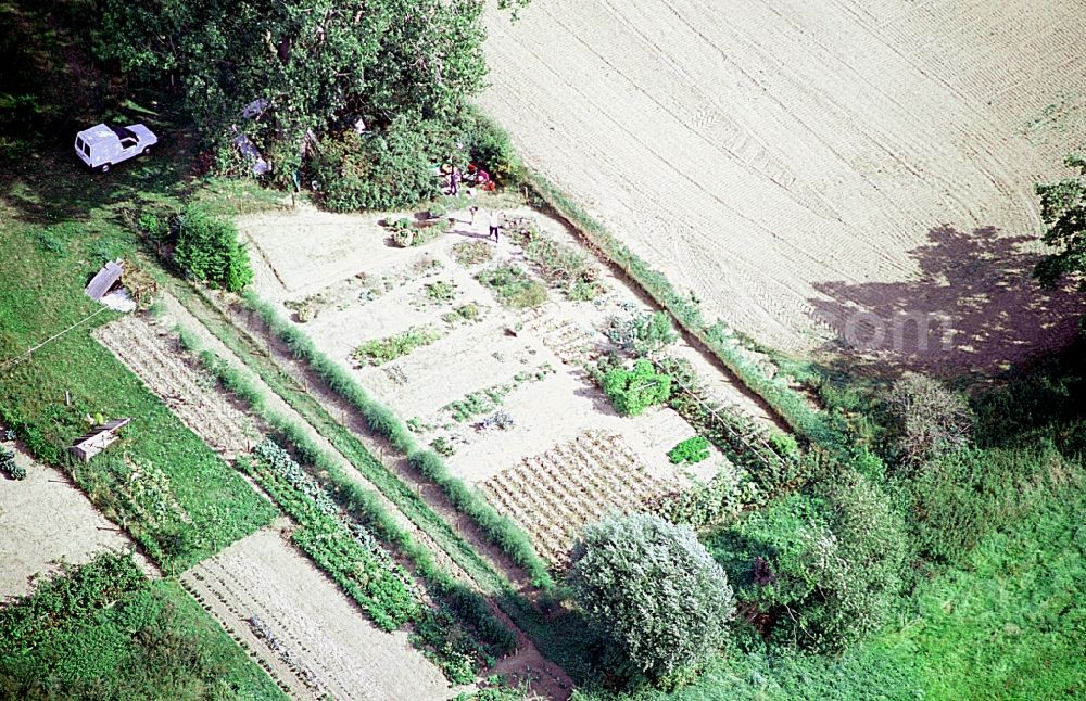 Liesten from the bird's eye view: Parcel of a small garden in Liesten in the state Saxony-Anhalt, Germany