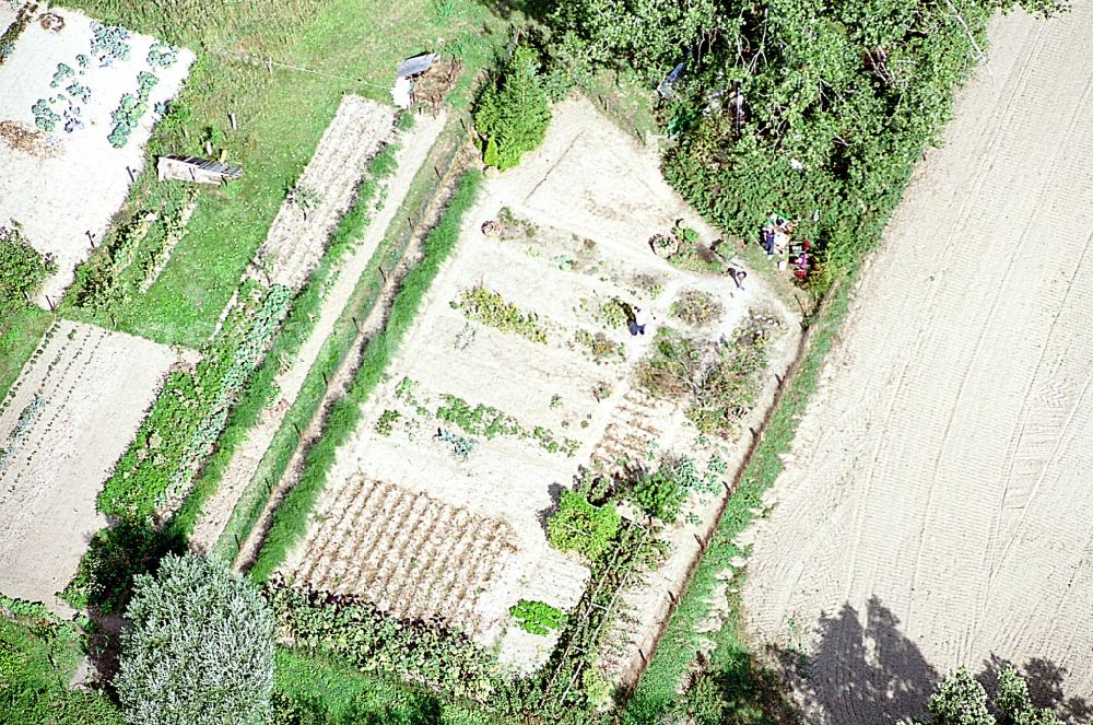 Aerial photograph Liesten - Parcel of a small garden in Liesten in the state Saxony-Anhalt, Germany