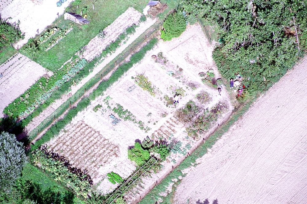 Liesten from above - Parcel of a small garden in Liesten in the state Saxony-Anhalt, Germany