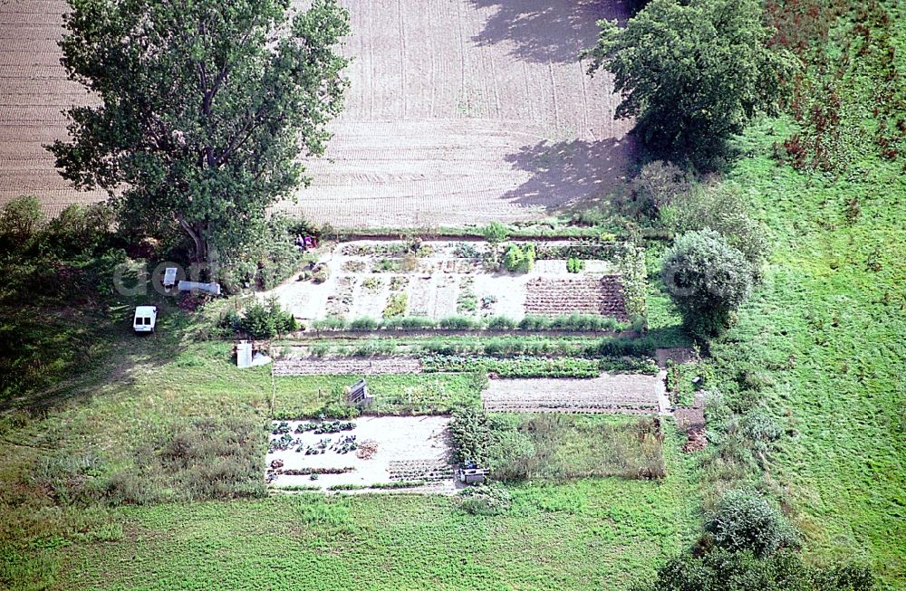 Liesten from the bird's eye view: Parcel of a small garden in Liesten in the state Saxony-Anhalt, Germany