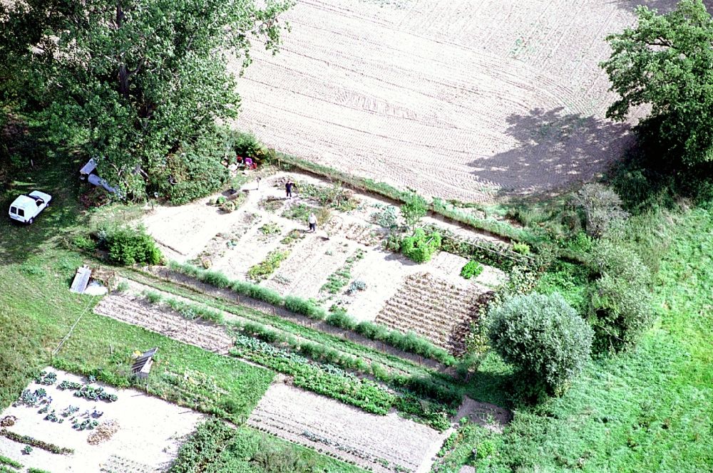 Aerial image Liesten - Parcel of a small garden in Liesten in the state Saxony-Anhalt, Germany