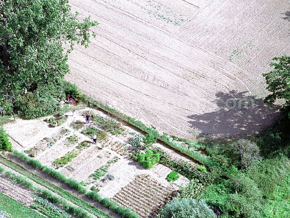 Aerial photograph Liesten - Parcel of a small garden in Liesten in the state Saxony-Anhalt, Germany