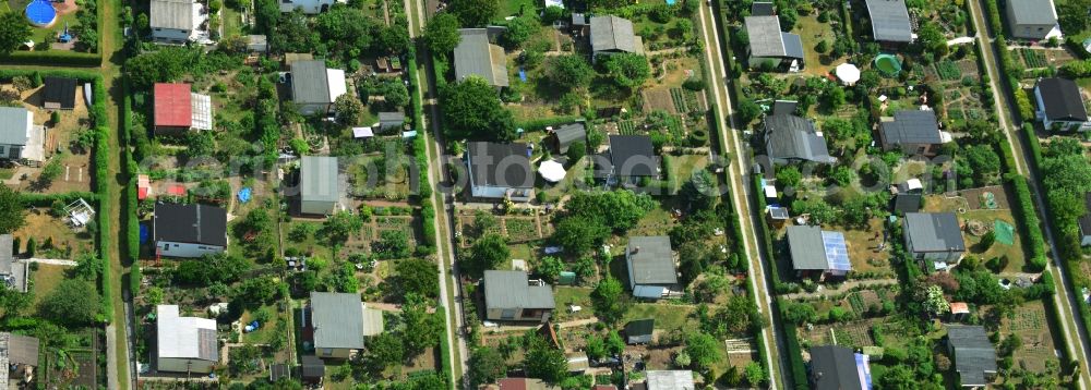 Aerial image Magdeburg - Ruins of a small garden in Magdeburg in the state Saxony-Anhalt