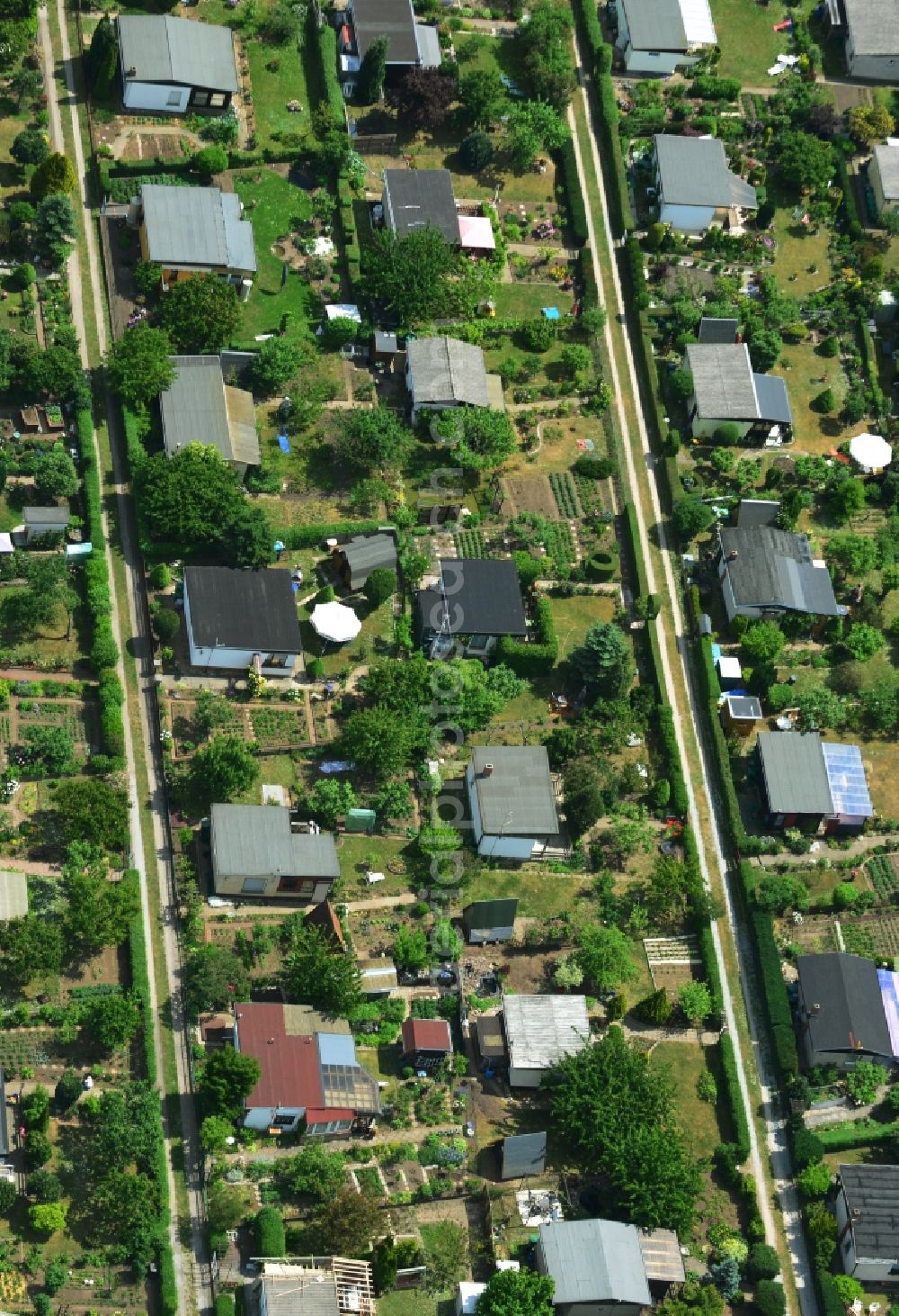 Aerial photograph Magdeburg - Ruins of a small garden in Magdeburg in the state Saxony-Anhalt