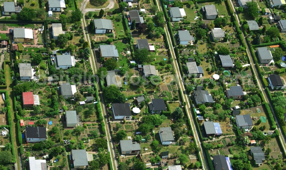 Magdeburg from above - Ruins of a small garden in Magdeburg in the state Saxony-Anhalt