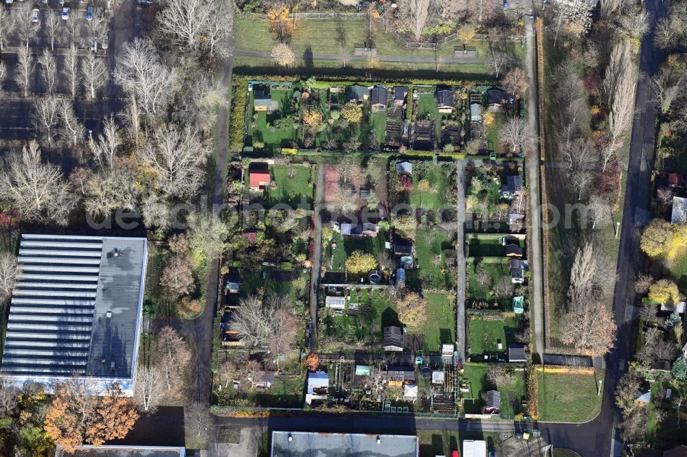 Berlin from above - Parcel of a small garden Maerkische Spitze - Eugen-Roth-Weg in the district Marzahn in Berlin, Germany