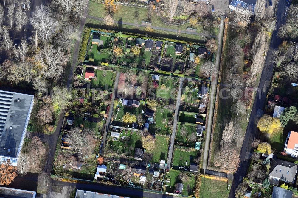 Berlin from the bird's eye view: Parcel of a small garden Maerkische Spitze - Eugen-Roth-Weg in the district Marzahn in Berlin, Germany