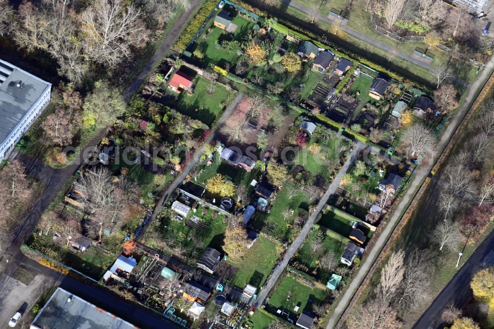 Aerial photograph Berlin - Parcel of a small garden Maerkische Spitze - Eugen-Roth-Weg in the district Marzahn in Berlin, Germany