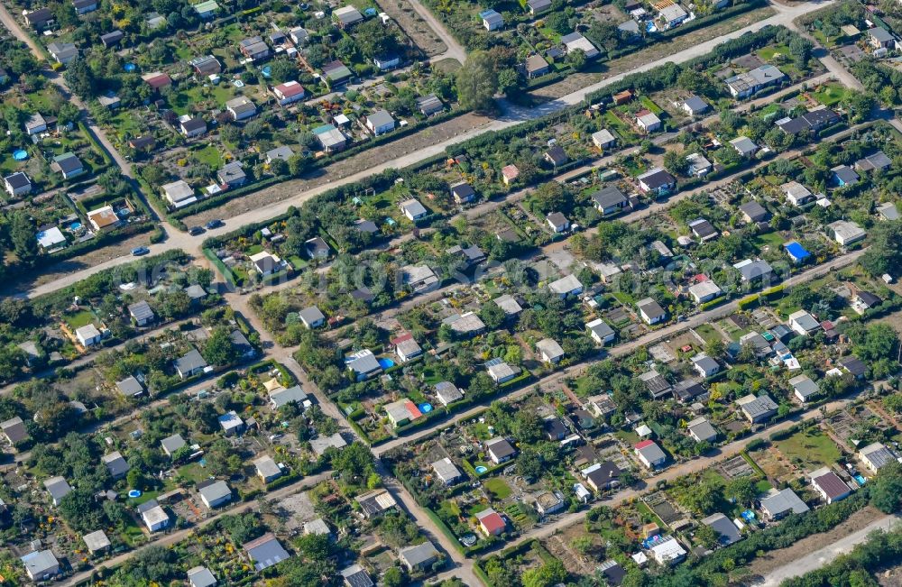 Cottbus from above - Parcel of a small garden in the district Schmellwitz in Cottbus in the state Brandenburg, Germany