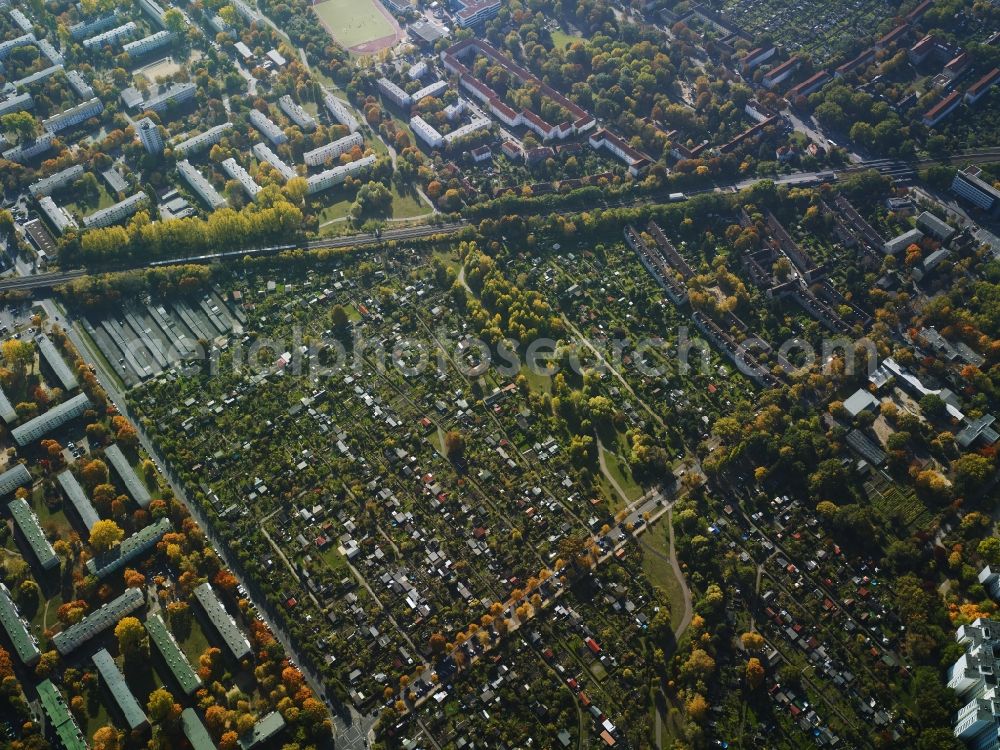 Berlin from the bird's eye view: Parcel of a small garden and a settlement at the Kiefholzstrasse and at the Dammweg in Berlin