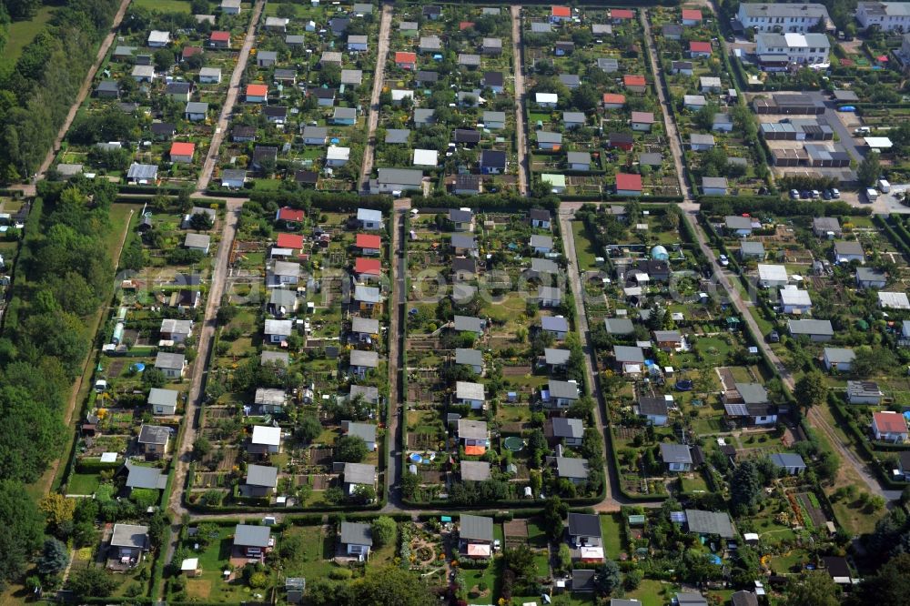 Aerial image Riesa - Parcel of a small garden of the allotment club Kleingaertnerverein Dimmelsberg e.V. in Riesa in the state Saxony