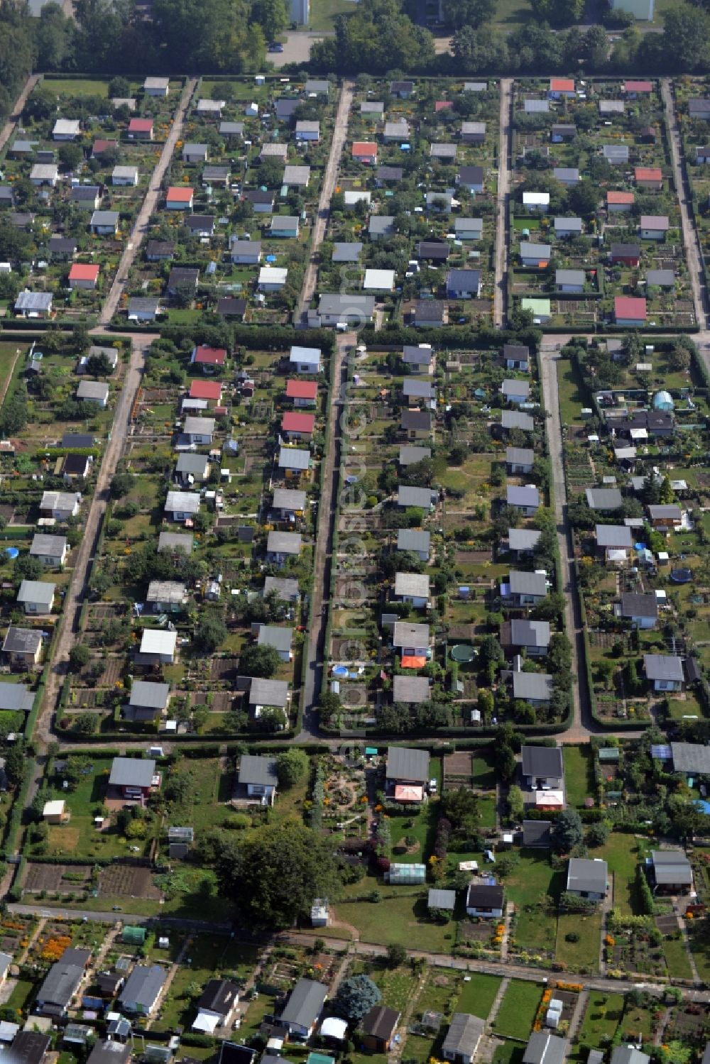 Aerial photograph Riesa - Parcel of a small garden of the allotment club Kleingaertnerverein Dimmelsberg e.V. in Riesa in the state Saxony